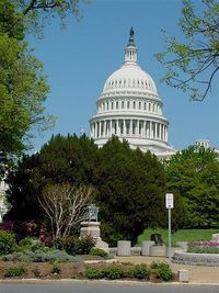 Capitol dome