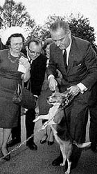 Lyndon johnson with beagles