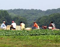 Migrant-farm-workers