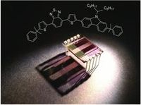 Organic solar cell