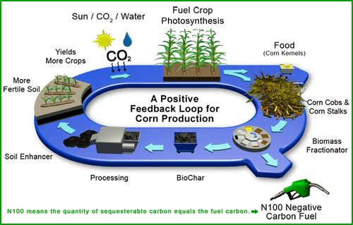 Biochar feedbackloop