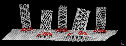 Nanotubes on graphene from rice