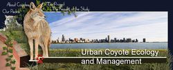 Urbancoyotemanagementchicag