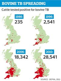 Bovine-TB-spreading-002