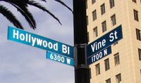 HollywoodVine