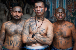 Ms-13