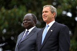 Bushandkibaki