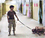 Iraqis_tortured_wpa