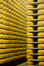 Shelves_o_cheese