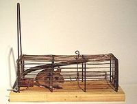 Better mousetrap_from wikipedia