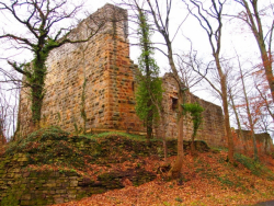 Blankenhorn castle
