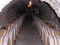 Wine_cellar2