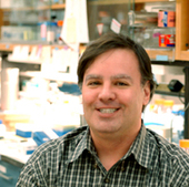 Rice Science Extra: Nobel Worthy