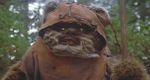 Ewok_1