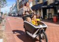 The E-Transport Minority